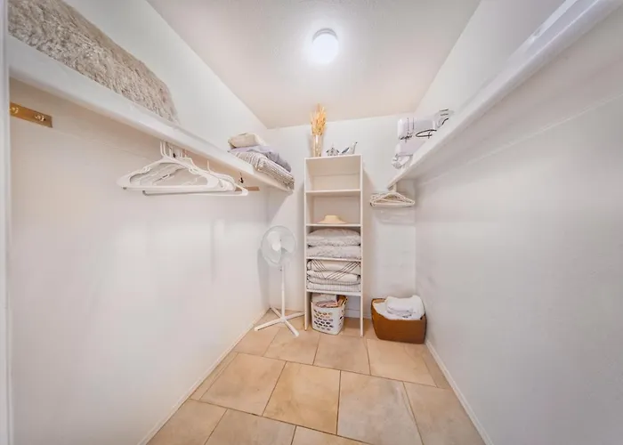 Cactus Flower Scottsdale